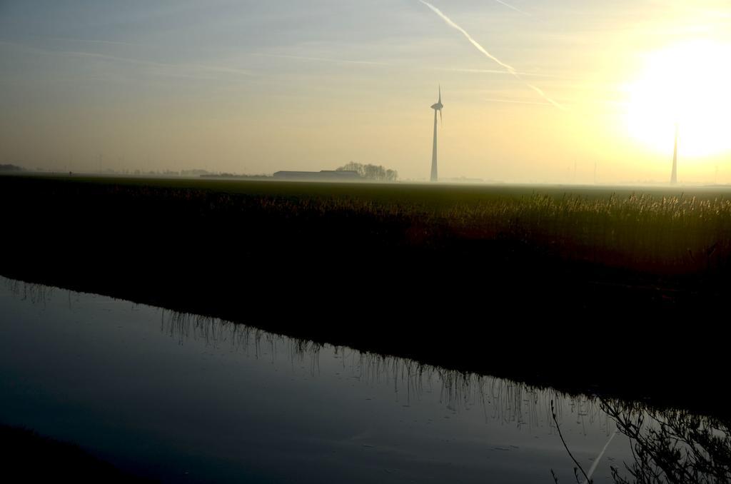Am Alten Hafen Neuharlingersiel Eksteriør billede